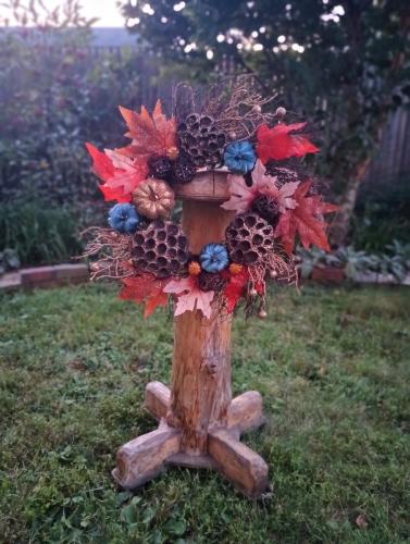 IMG 20230921 190528759 MF PORTRAIT2