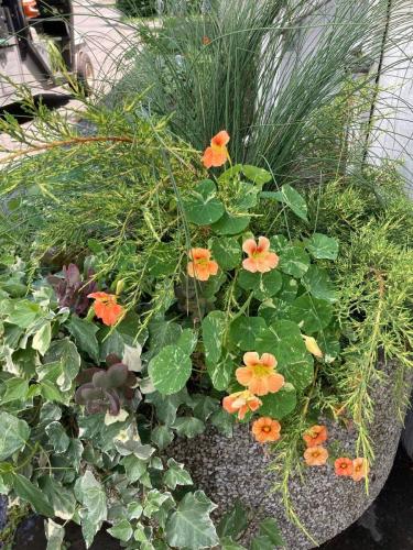 Poppy-Hill-Florals-Floral-Arrangments-Florist-Bucks-County-PA-10