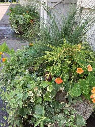 Poppy-Hill-Florals-Floral-Arrangments-Florist-Bucks-County-PA-11