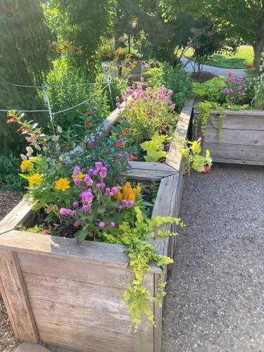 Poppy-Hill-Florals-Floral-Arrangments-Florist-Bucks-County-PA-24