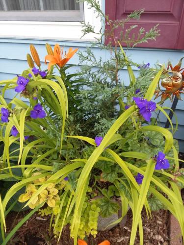 Poppy-Hill-Florals-Floral-Arrangments-Florist-Bucks-County-PA-31