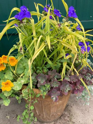 Poppy-Hill-Florals-Floral-Arrangments-Florist-Bucks-County-PA-32